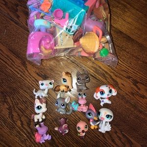 Littlest pet shot lot with accessories! 💘